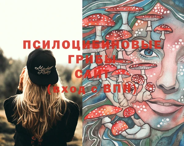 гидра Арсеньев
