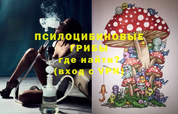 гидра Арсеньев