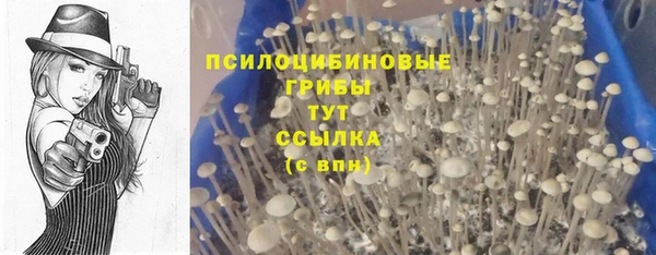 гидра Арсеньев