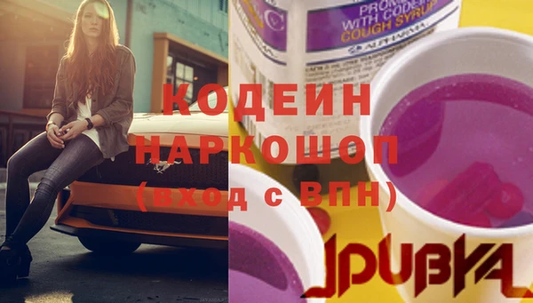 гидра Арсеньев