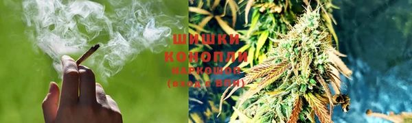 гидра Арсеньев