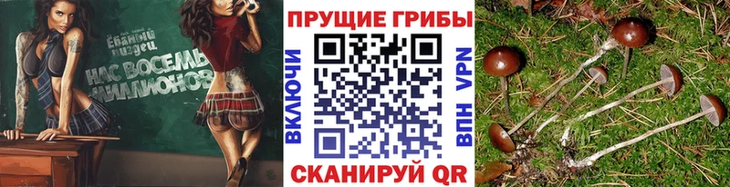 Галлюциногенные грибы Magic Shrooms  Кашин 